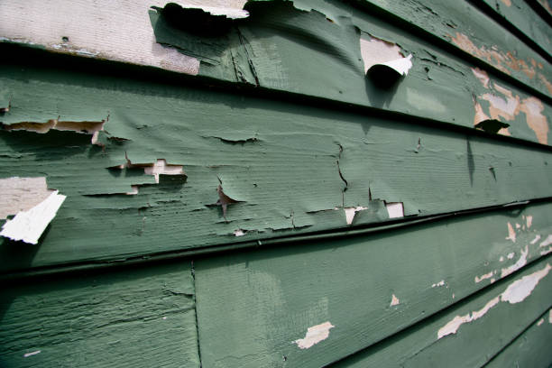 Best Property Management Cleanouts  in Airy Heights, WA